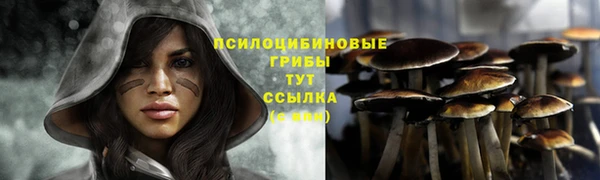 трава Алексеевка