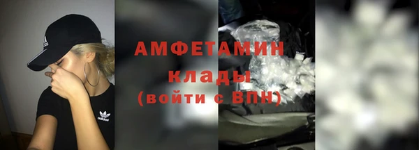 СК Алексин