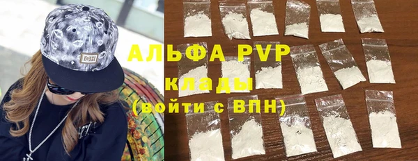 СК Алексин