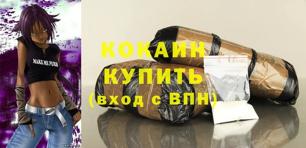 соль ск Алзамай
