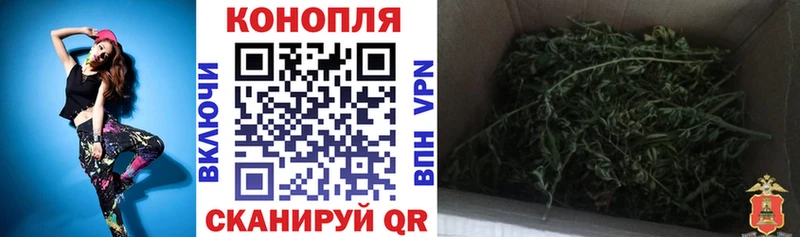 МАРИХУАНА сатива  Артёмовск 